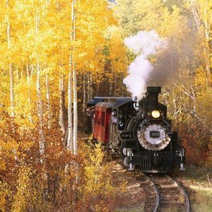 Meet your Posher, Roberta